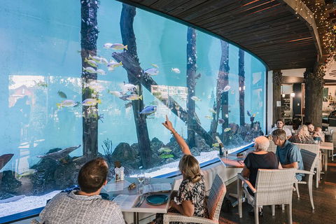 Cairns Aquarium Tour By Twilight With Drink And Appetiser - Accommodation Sydney 3