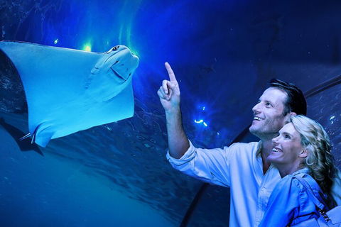 Cairns Aquarium Tour By Twilight With Drink And Appetiser - Accommodation Sydney 4