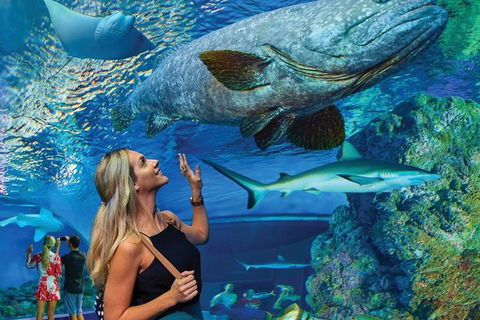 Cairns Aquarium Family Ticket - Sydney 4u 3