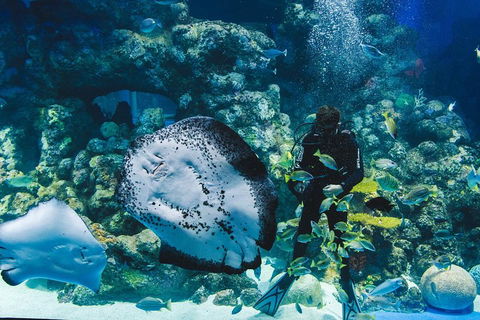 Cairns Aquarium Family Ticket - Sydney 4u 4