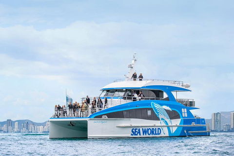 Whale Watching By Sea World Cruises - Accommodation Sydney 3