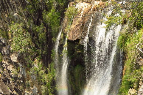 Beyond Byron Hinterland Tour - Accommodation Sydney 5