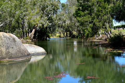 Private Daintree And Cape Tribulation Tour From Port Douglas - Accommodation Sydney 3