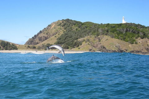 Kayaking With Dolphins In Byron Bay Guided Tour - Sydney 4u 0