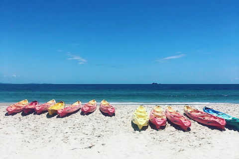 Kayaking With Dolphins In Byron Bay Guided Tour - Sydney 4u 1