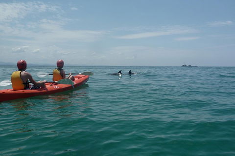 Kayaking With Dolphins In Byron Bay Guided Tour - Sydney 4u 4