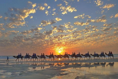 Broome City Sightseeing Tour With Optional Camel Ride - Accommodation Sydney 1