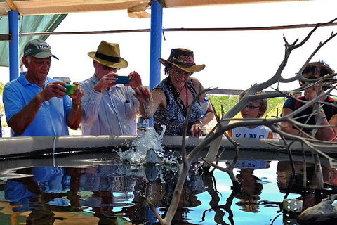Cape Leveque 4WD Tour From Broome With Optional Return Flight - Sydney 4u 0