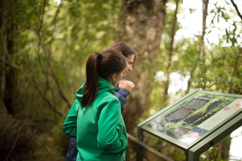 Strahan Day Trip By Air From Hobart Including A Gordon River Cruise - Sydney 4u 5