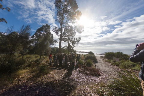 Bruny Island Day Tour, Includes Lunch And Exclusive Lighthouse Tour - Sydney 4u 5