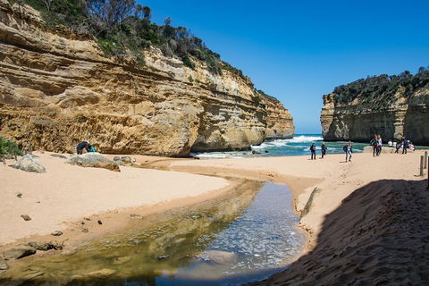 Great Ocean Road And 12 Apostles Day Trip From Melbourne - Sydney 4u 2