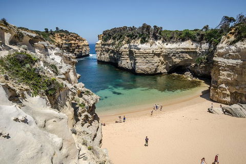 Great Ocean Road Reverse Itinerary With 12 Apostles From Melbourne - Sydney 4u 5
