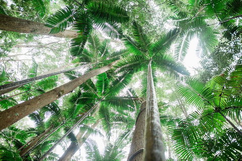 Fraser Explorer K'gari 2-Day Tour - Accommodation Sydney 2