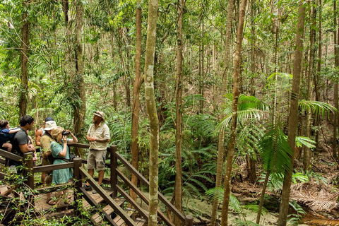 Fraser Explorer K'gari 2-Day Tour - Accommodation Sydney 5