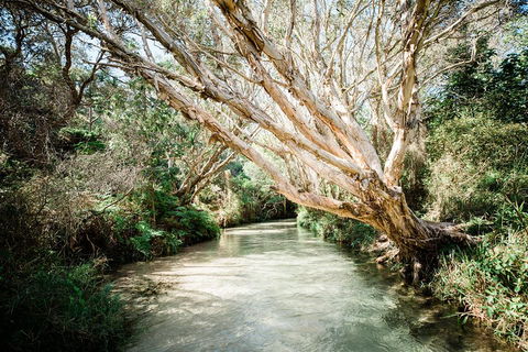 3-Day Fraser Island Resort Package - Sydney 4u 5