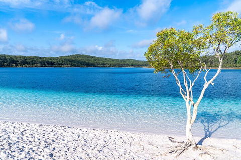 Lake McKenzie Full-Day Tour With Lunch From Hervey Bay - Accommodation Sydney 1