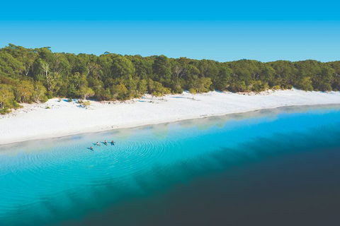 Lake McKenzie Full-Day Tour With Lunch From Hervey Bay - Accommodation Sydney 4