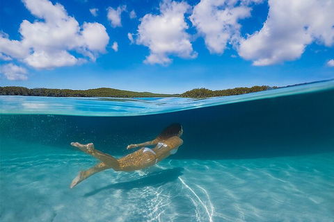 Lake McKenzie Full-Day Tour With Lunch From Hervey Bay - Accommodation Sydney 5