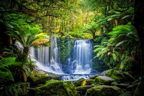 Day Tour In Mt. Field, Mt. Wellington, Bonorong Wildlife Sanctuary And Richmond - Sydney 4u 0