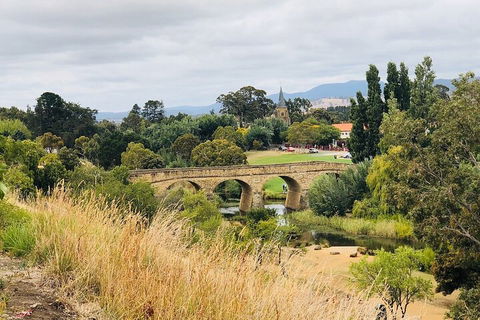 Day Tour In Mt. Field, Mt. Wellington, Bonorong Wildlife Sanctuary And Richmond - Sydney 4u 3