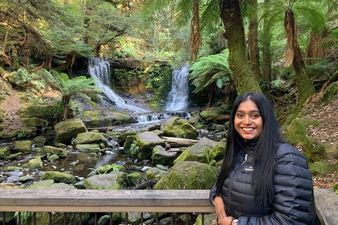 Day Tour In Mt. Field, Mt. Wellington, Bonorong Wildlife Sanctuary And Richmond - Sydney 4u 5