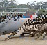 Off-Road Safari at Werribee Open Range Zoo - Sydney 4u