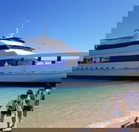 Moreton Island Day Trip Kayak Snorkel  Sandboard frm Brisbane or Gold Coast - Accommodation Sydney