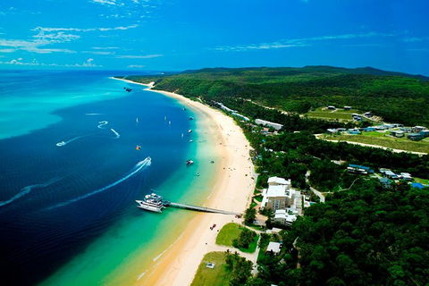 Tangalooma Island Resort Whale Watching Day Cruise - Sydney 4u 2