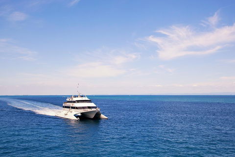 Tangalooma Island Resort Whale Watching Day Cruise - Sydney 4u 5