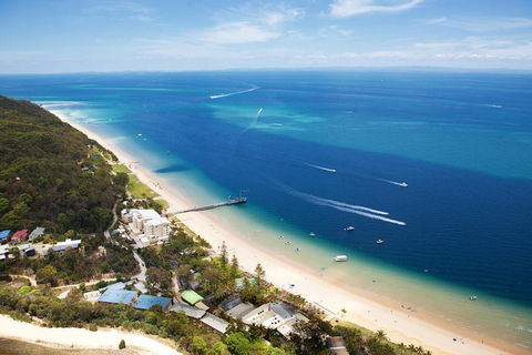 Tangalooma Island Resort Whale Watching Day Cruise With Dolphin Feeding - Sydney 4u 2
