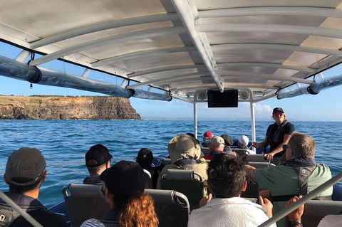 Julian Rocks Byron Bay Cruise - Sydney 4u 4