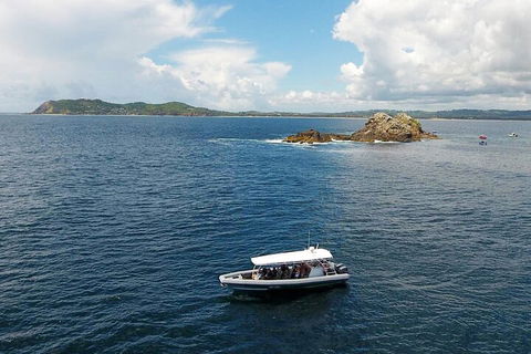 Julian Rocks Byron Bay Cruise - Sydney 4u 5