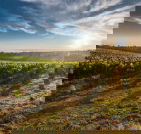Perth to Margaret River Wine Tour - 2 Day Premium Boutique Wine Tour Experience - Sydney 4u