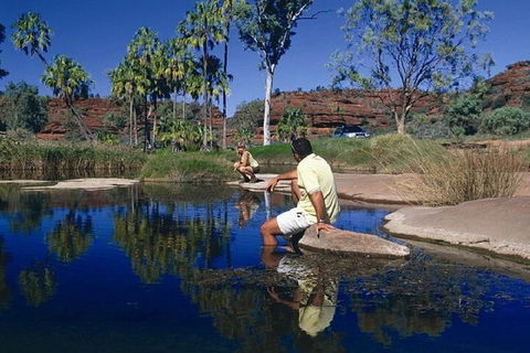 Palm Valley 4WD Day Tour - Sydney 4u 1