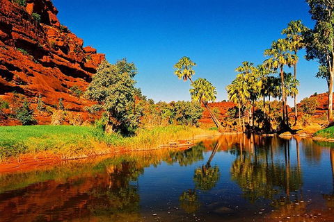 Palm Valley 4WD Day Tour - Sydney 4u 2