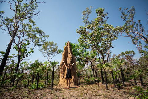 Litchfield National Park - Top End Day Tour From Darwin - Sydney 4u 5
