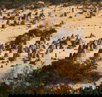 Pinnacles Sunset Dinner and Stargazing Experience a Small Group Tour - Sydney 4u