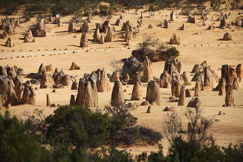 Pinnacles Sunset Dinner And Stargazing Experience A Small Group Tour - Sydney 4u 0