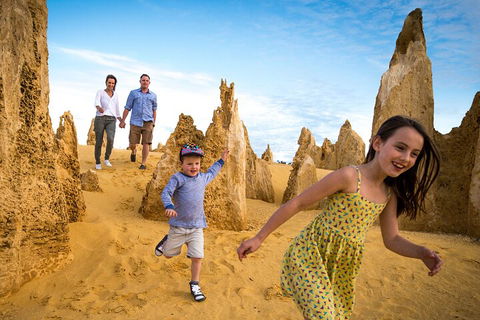 Pinnacles Sunset Dinner And Stargazing Experience A Small Group Tour - Sydney 4u 3