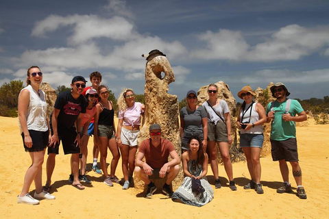 Pinnacles Sunset Dinner And Stargazing Experience A Small Group Tour - Sydney 4u 4