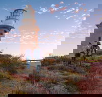 6-Day Coral Coaster from Perth to Exmouth One-Way via Monkey Mia Ningaloo Reef - Sydney 4u