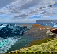 Small-Group Phillip Island Day Trip from Melbourne with Penguin Plus Viewing - Sydney 4u