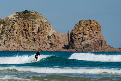 Small-Group Phillip Island Day Trip From Melbourne With Penguin Plus Viewing - Sydney 4u 3