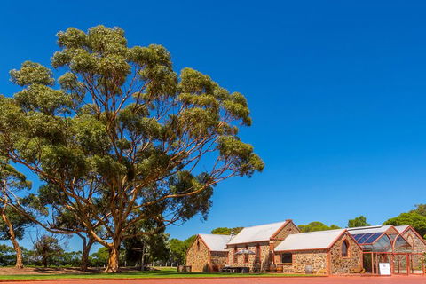 McLaren Vale And Glenelg Wine Tasting And Sightseeing (Half-day Afternoon) - Sydney 4u 5