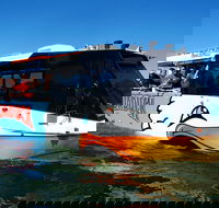 Paradise Jet Boating and Aquaduck Combo - Sydney 4u