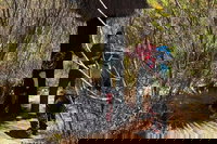 Book Viator Accommodation Vacations Accommodation Sydney Accommodation Sydney