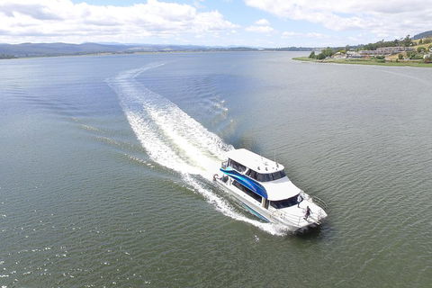 2.5 Hour Morning Discovery Cruise Including Sailing Into The Cataract Gorge - Accommodation Sydney 2