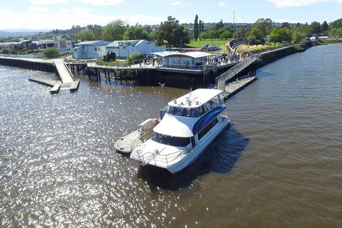 2.5 Hour Morning Discovery Cruise Including Sailing Into The Cataract Gorge - Accommodation Sydney 3