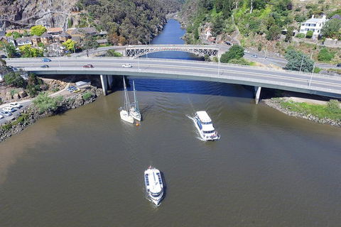 2.50 Hour Afternoon Discovery Cruise Including Cataract Gorge Departing At 3 Pm - Sydney 4u 1