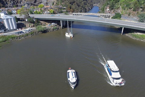 2.50 Hour Afternoon Discovery Cruise Including Cataract Gorge Departing At 3 Pm - Sydney 4u 3